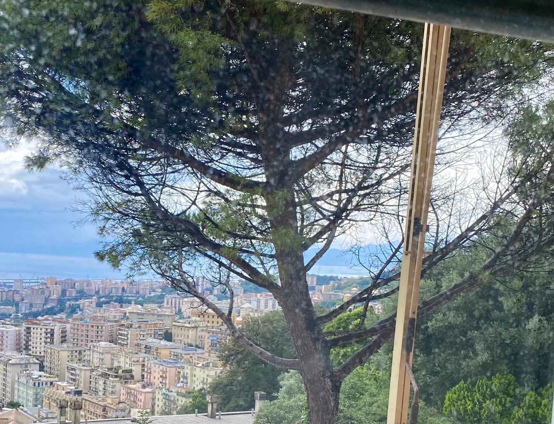 Genoa View & Hiking In Italian Riviera Appartement Buitenkant foto